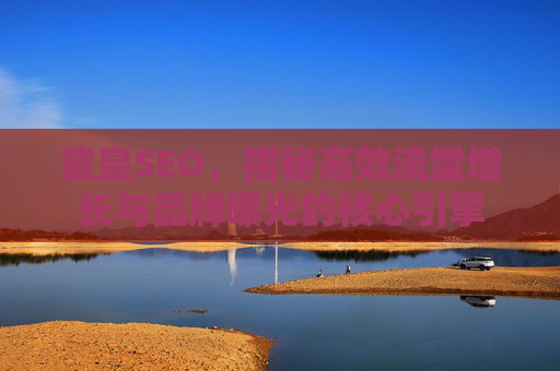 鲨皇SEO，揭秘高效流量增长与品牌曝光的核心引擎