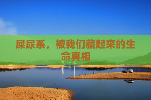 屎尿系，被我们藏起来的生命真相