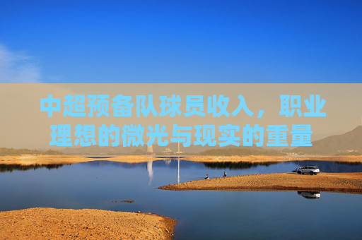中超预备队球员收入，职业理想的微光与现实的重量