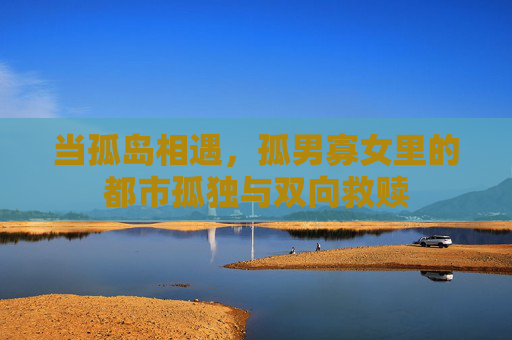 当孤岛相遇，孤男寡女里的都市孤独与双向救赎