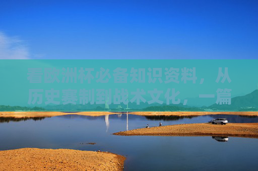 看欧洲杯必备知识资料，从历史赛制到战术文化，一篇带你入门