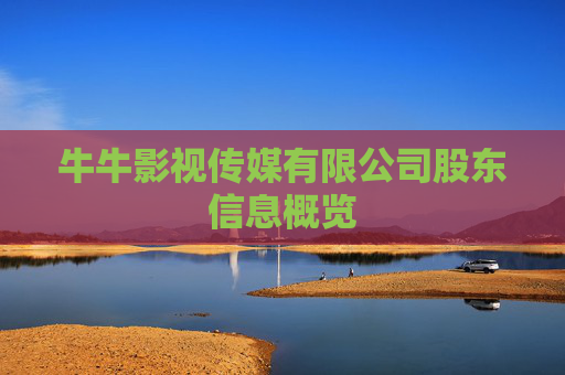 牛牛影视传媒有限公司股东信息概览