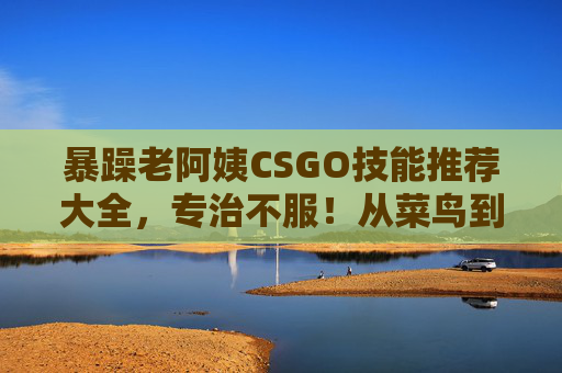 暴躁老阿姨CSGO技能推荐大全，专治不服！从菜鸟到战神的狠活儿都在这