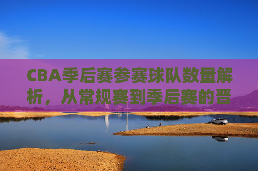 CBA季后赛参赛球队数量解析，从常规赛到季后赛的晋级之路