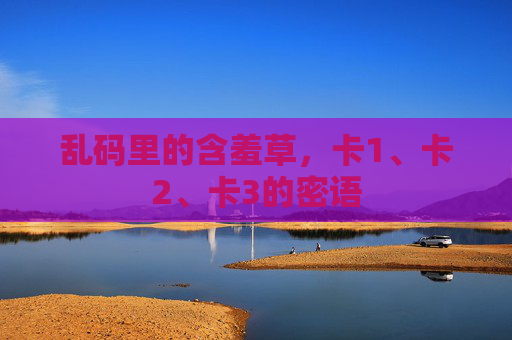 乱码里的含羞草，卡1、卡2、卡3的密语