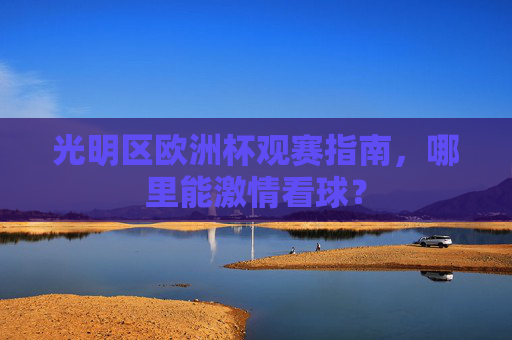 光明区欧洲杯观赛指南，哪里能激情看球？