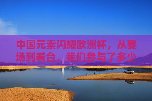 中国元素闪耀欧洲杯，从赛场到看台，我们参与了多少？