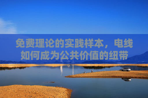 免费理论的实践样本，电线如何成为公共价值的纽带