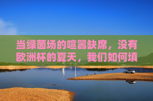 当绿茵场的喧嚣缺席，没有欧洲杯的夏天，我们如何填补激情的空白？
