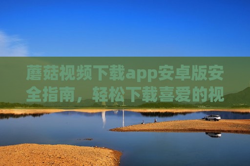 蘑菇视频下载app安卓版安全指南，轻松下载喜爱的视频内容