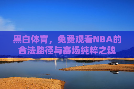 黑白体育，免费观看NBA的合法路径与赛场纯粹之魂