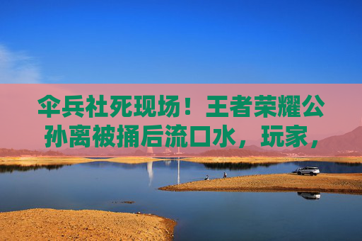 伞兵社死现场！王者荣耀公孙离被捅后流口水，玩家，笑不活了又心疼！
