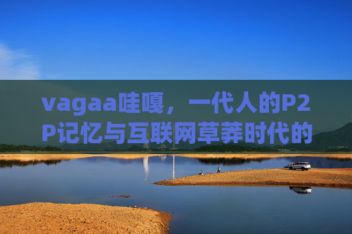vagaa哇嘎，一代人的P2P记忆与互联网草莽时代的回响