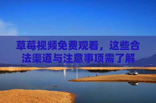 草莓视频免费观看，这些合法渠道与注意事项需了解