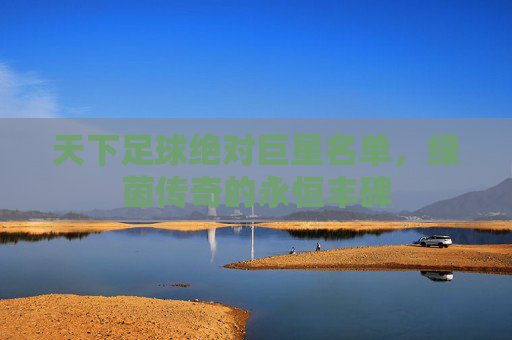 天下足球绝对巨星名单，绿茵传奇的永恒丰碑