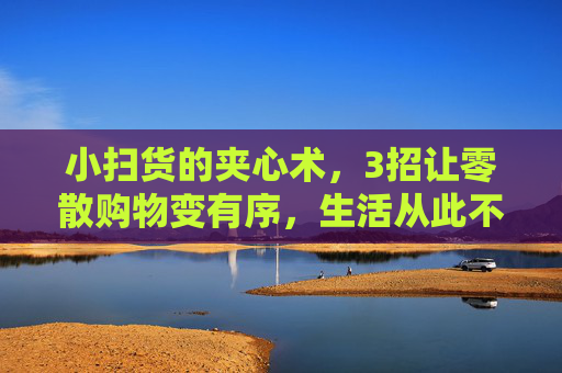 小扫货的夹心术，3招让零散购物变有序，生活从此不凌乱