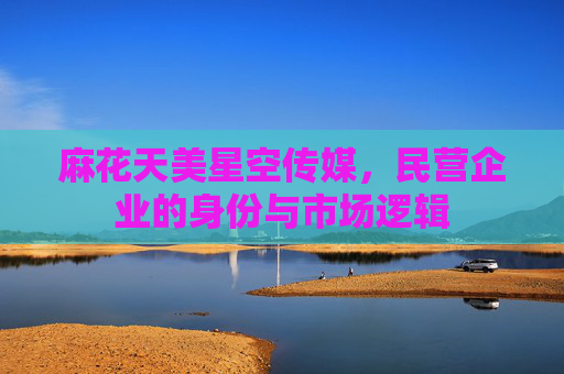 麻花天美星空传媒，民营企业的身份与市场逻辑