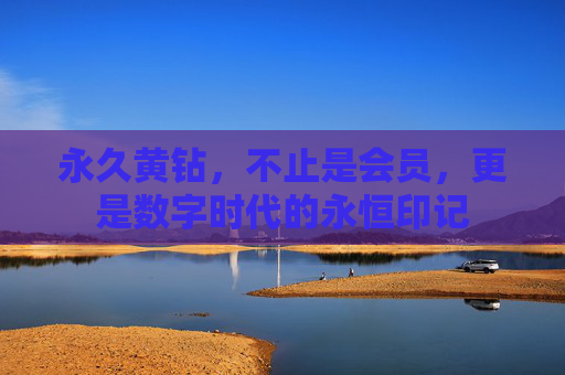 永久黄钻，不止是会员，更是数字时代的永恒印记