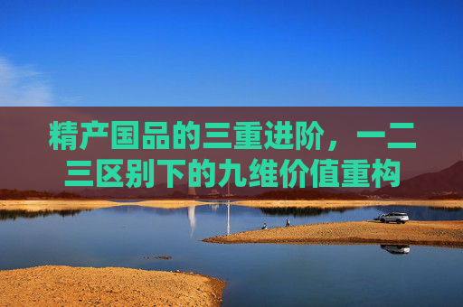 精产国品的三重进阶，一二三区别下的九维价值重构