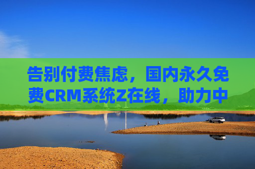 告别付费焦虑，国内永久免费CRM系统Z在线，助力中小企业轻松获客与增长
