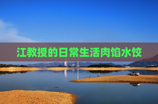 江教授的日常生活肉馅水饺 江教授的日常生活肉馅水饺