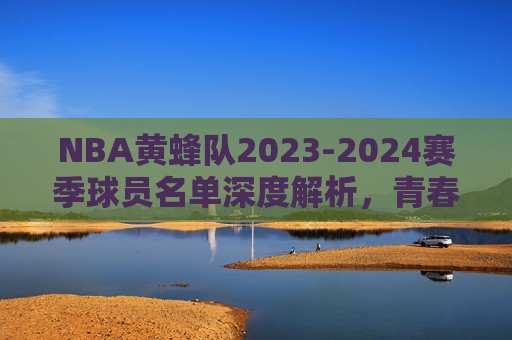 NBA黄蜂队2023-2024赛季球员名单深度解析，青春风暴重建时