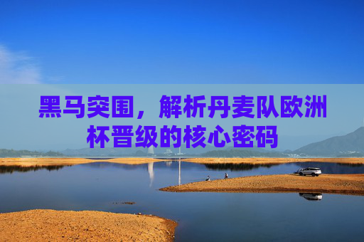 黑马突围,解析丹麦队欧洲杯晋级的核心密码 黑马突围,解析丹麦队欧洲杯晋级的核心密码