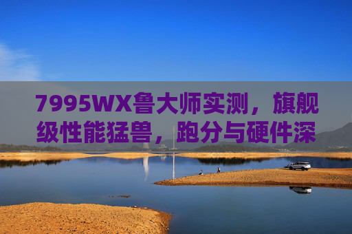 7995WX鲁大师实测,旗舰级性能猛兽,跑分与硬件深度解析 7995WX鲁大师实测,旗舰级性能猛兽,跑分与硬件深度解析