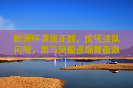 欧洲杯激战正酣,传统强队闪耀,黑马突围点燃夏夜激情 欧洲杯激战正酣,传统强队闪耀,黑马突围点燃夏夜激情