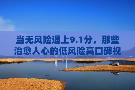 当无风险遇上9.1分，那些治愈人心的低风险高口碑视频