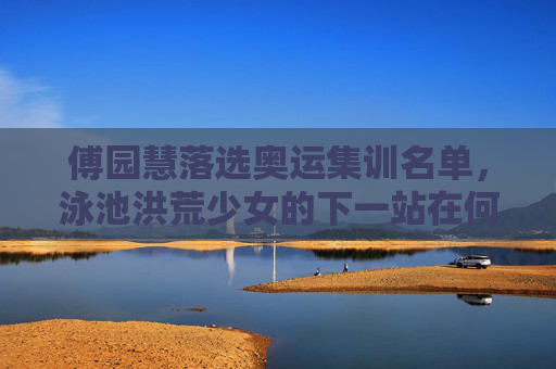 傅园慧落选奥运集训名单，泳池洪荒少女的下一站在何方？