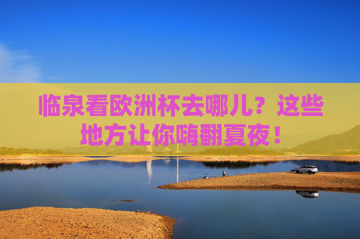 临泉看欧洲杯去哪儿?这些地方让你嗨翻夏夜! 临泉看欧洲杯去哪儿?这些地方让你嗨翻夏夜!