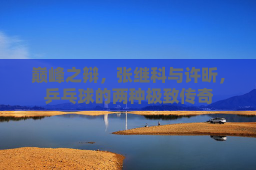 巅峰之辩,张继科与许昕,乒乓球的两种极致传奇 巅峰之辩,张继科与许昕,乒乓球的两种极致传奇