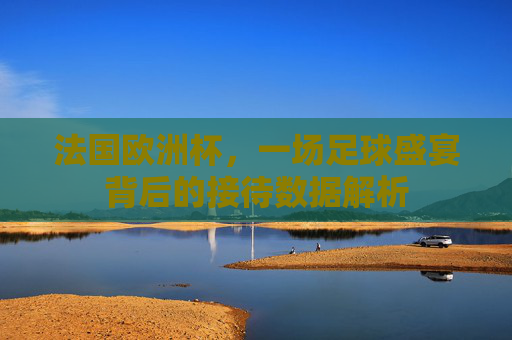 法国欧洲杯，一场足球盛宴背后的接待数据解析