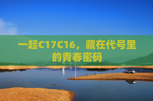 一起C17C16，藏在代号里的青春密码