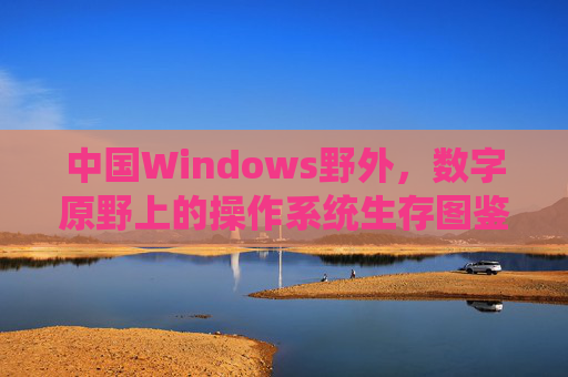 中国Windows野外,数字原野上的操作系统生存图鉴 中国Windows野外,数字原野上的操作系统生存图鉴