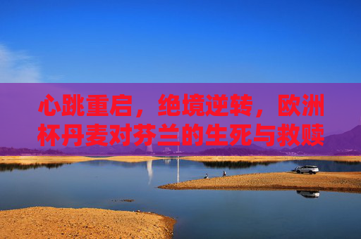 心跳重启,绝境逆转,欧洲杯丹麦对芬兰的生死与救赎 心跳重启,绝境逆转,欧洲杯丹麦对芬兰的生死与救赎