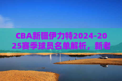 CBA新疆伊力特2024-2025赛季球员名单解析,新老交织,剑指季后赛突破 CBA新疆伊力特2024-2025赛季球员名单解析,新老交织,剑指季后赛突破