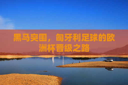 黑马突围,匈牙利足球的欧洲杯晋级之路 黑马突围,匈牙利足球的欧洲杯晋级之路