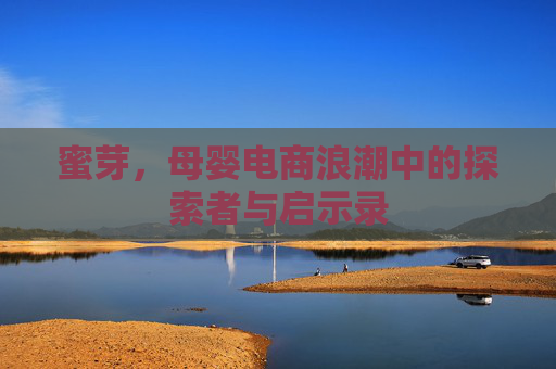蜜芽,母婴电商浪潮中的探索者与启示录 蜜芽,母婴电商浪潮中的探索者与启示录