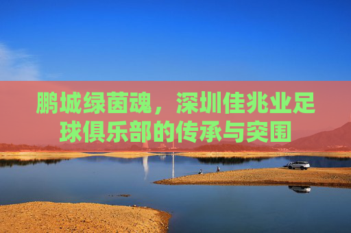鹏城绿茵魂,深圳佳兆业足球俱乐部的传承与突围 鹏城绿茵魂,深圳佳兆业足球俱乐部的传承与突围