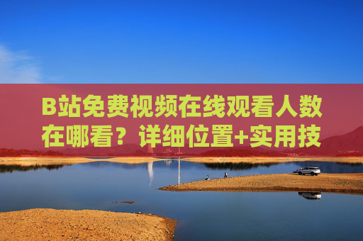 B站免费视频在线观看人数在哪看?详细位置+实用技巧 B站免费视频在线观看人数在哪看?详细位置+实用技巧
