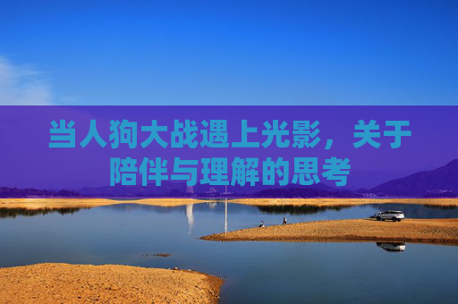 当人狗大战遇上光影，关于陪伴与理解的思考
