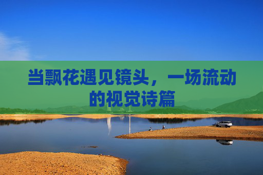 当飘花遇见镜头,一场流动的视觉诗篇 当飘花遇见镜头,一场流动的视觉诗篇
