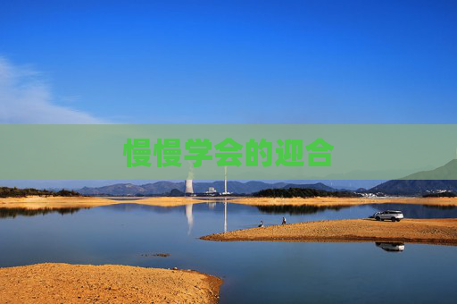 慢慢学会的迎合 慢慢学会的迎合