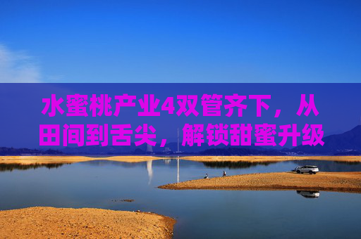 水蜜桃产业4双管齐下,从田间到舌尖,解锁甜蜜升级密码 水蜜桃产业4双管齐下,从田间到舌尖,解锁甜蜜升级密码