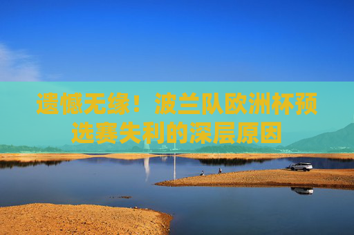 遗憾无缘!波兰队欧洲杯预选赛失利的深层原因 遗憾无缘!波兰队欧洲杯预选赛失利的深层原因