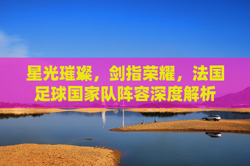 星光璀璨，剑指荣耀，法国足球国家队阵容深度解析