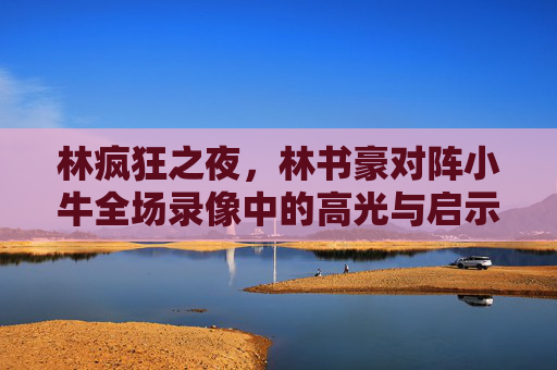 林疯狂之夜，林书豪对阵小牛全场录像中的高光与启示