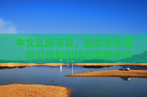 中文乱码字幕，当文字失语，我们该如何找回观影的声音？